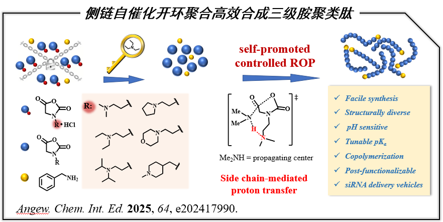 clip_image003.png clip_image003.png